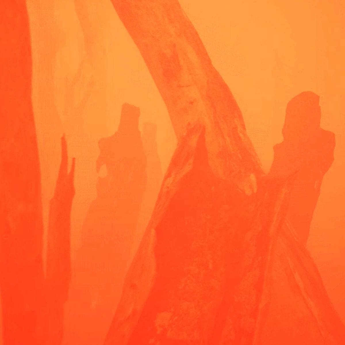 burn by nemo
