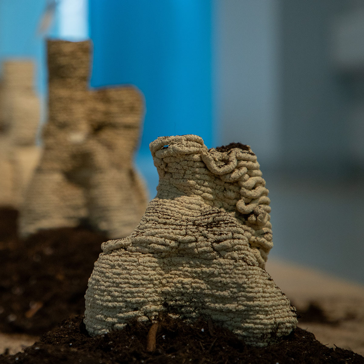 Compostable Altar: Offering to the earth by Betiana Pavón Compostable Altar: Offering to the earth by Betiana Pavón