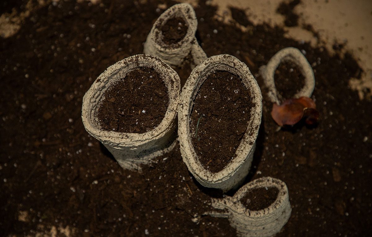 Compostable Altar: Offering to the earth by Betiana Pavón Compostable Altar: Offering to the earth by Betiana Pavón