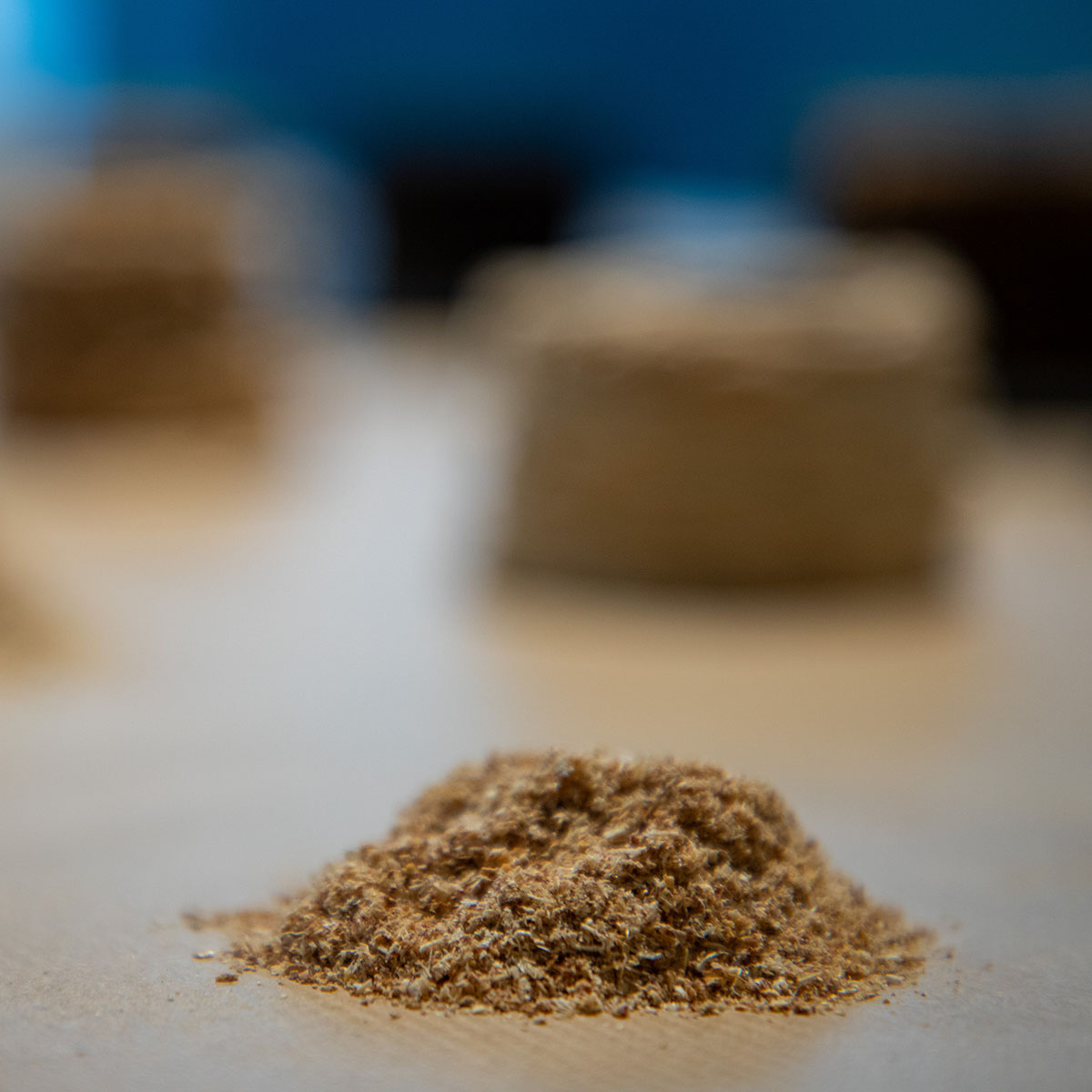 Compostable Altar: Offering to the earth by Betiana Pavón Compostable Altar: Offering to the earth by Betiana Pavón