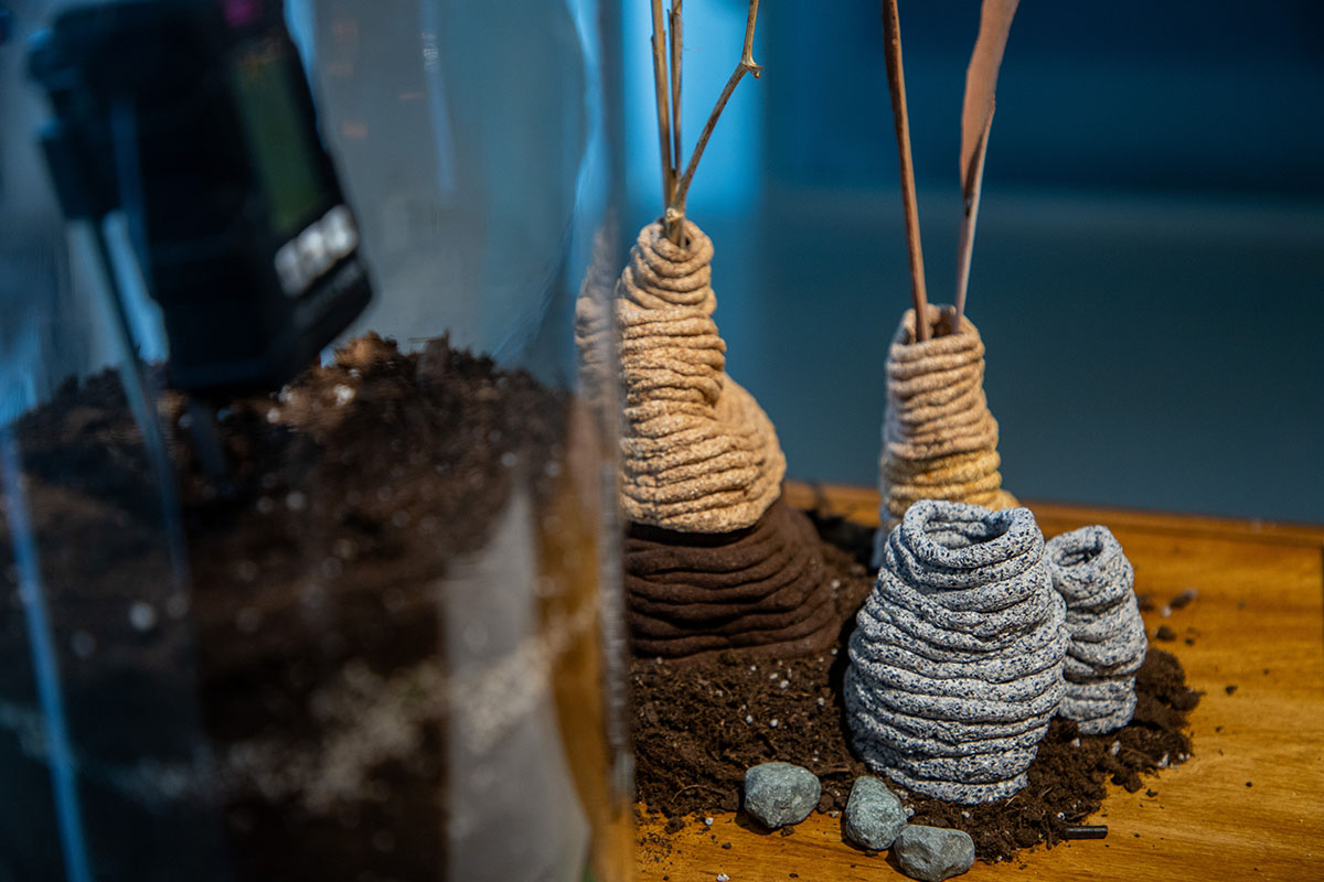 Compostable Altar: Offering to the earth by Betiana Pavón Compostable Altar: Offering to the earth by Betiana Pavón