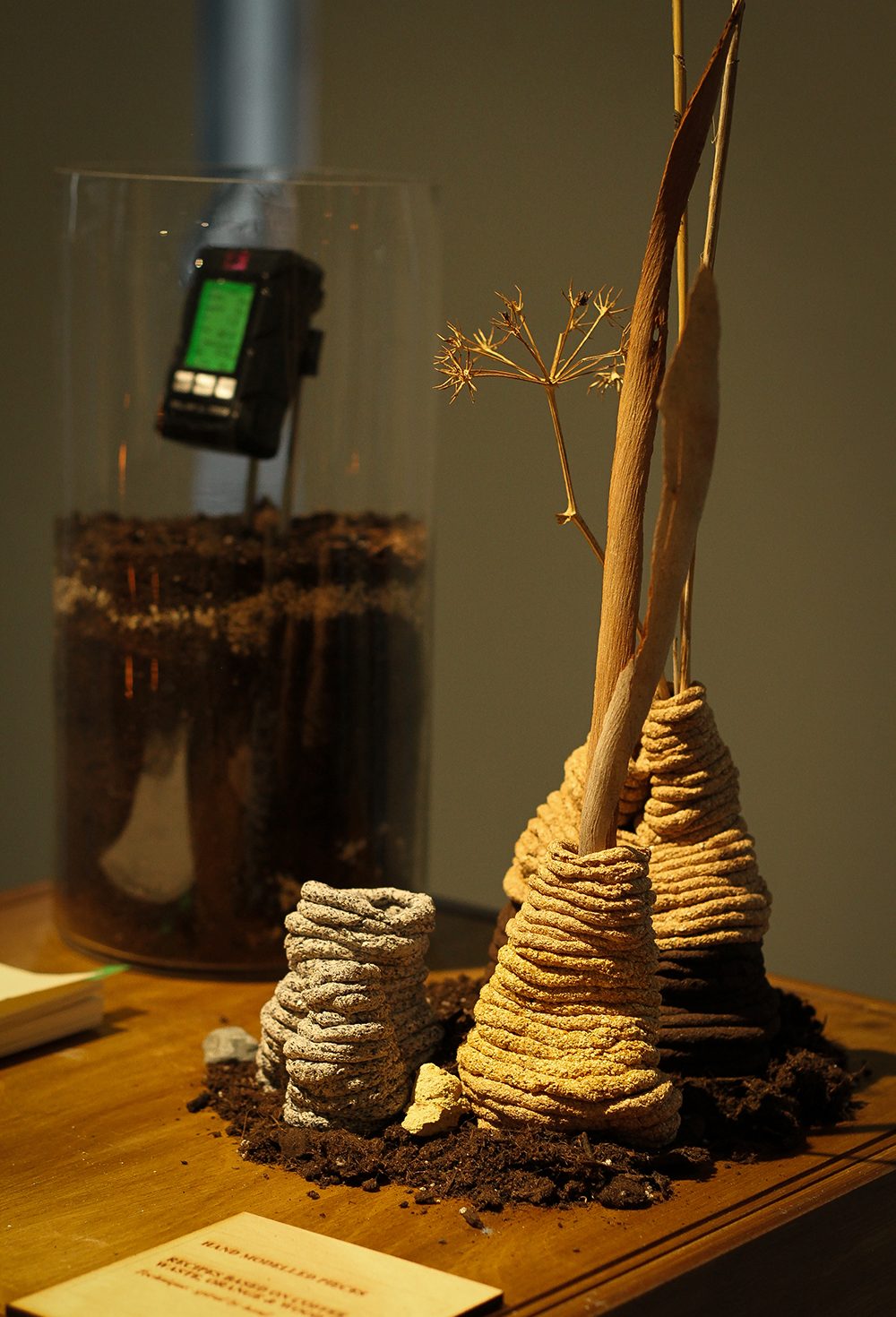 Compostable Altar: Offering to the earth by Betiana Pavón Compostable Altar: Offering to the earth by Betiana Pavón