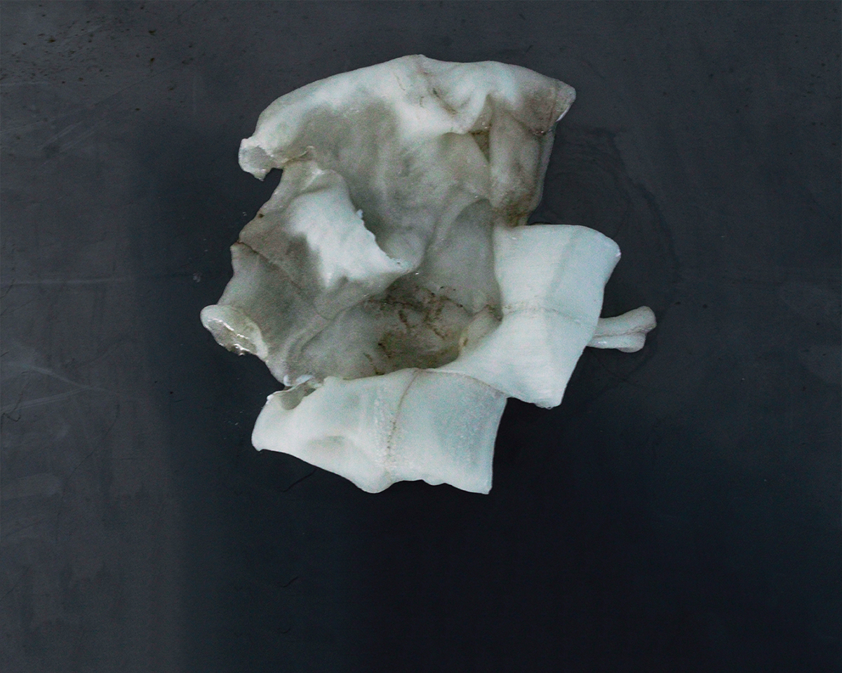 Opposed to stone, fond of flesh. by Dimitri