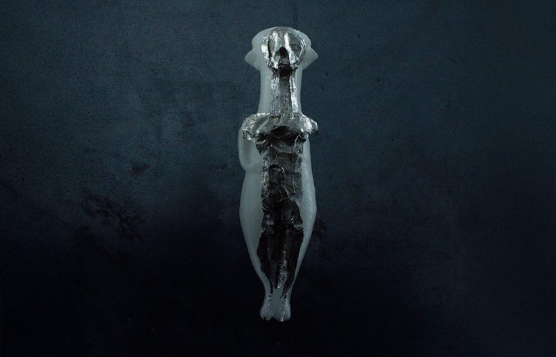 Opposed to stone, fond of flesh. by Dimitri