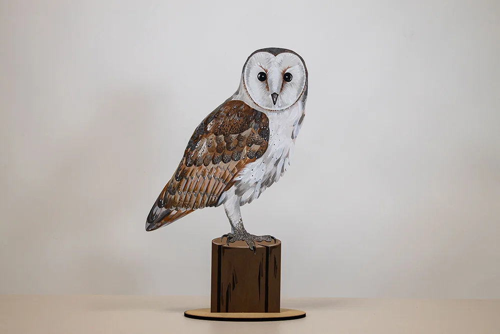 Birdlife Educational Puzzles