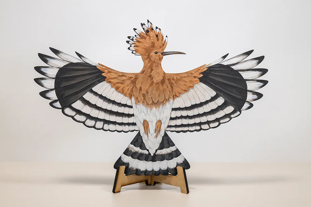 Birdlife Educational Puzzles