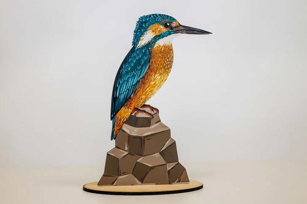 Birdlife Educational Puzzles