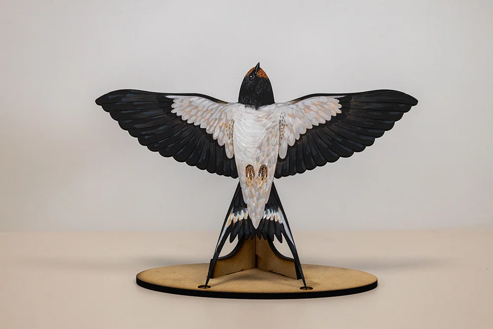 Birdlife Educational Puzzles