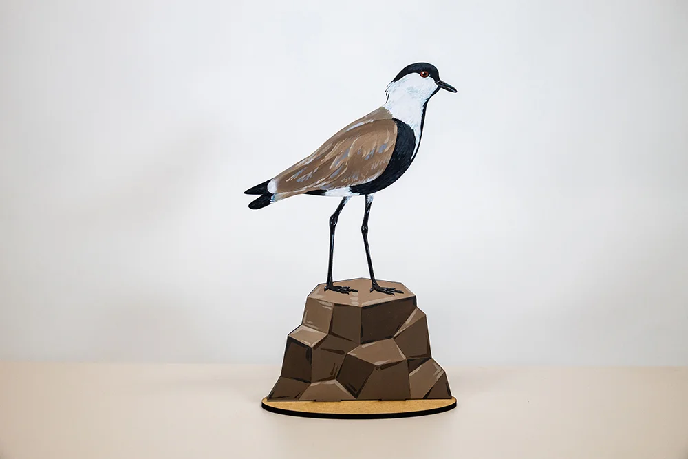 Birdlife Educational Puzzles