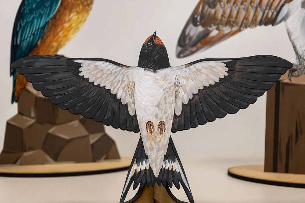 Birdlife Educational Puzzles