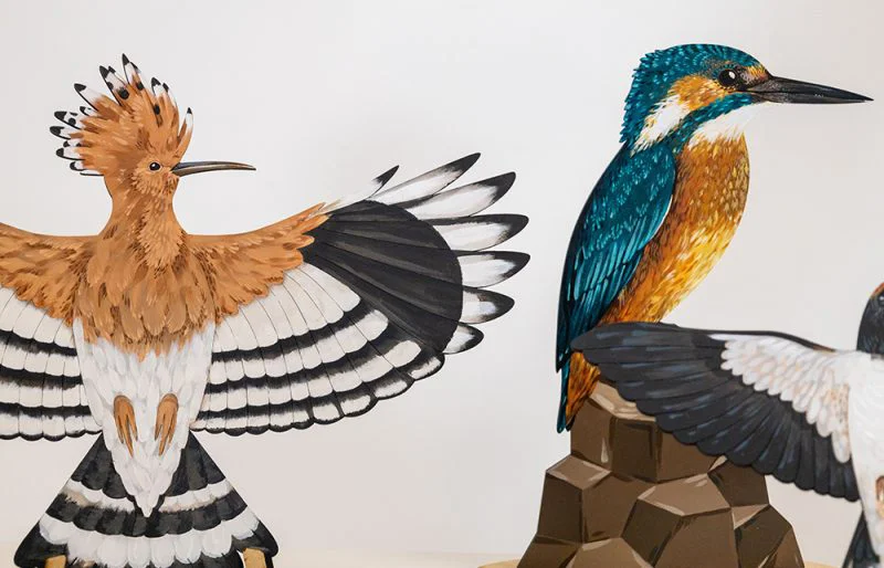 Birdlife Educational Puzzles