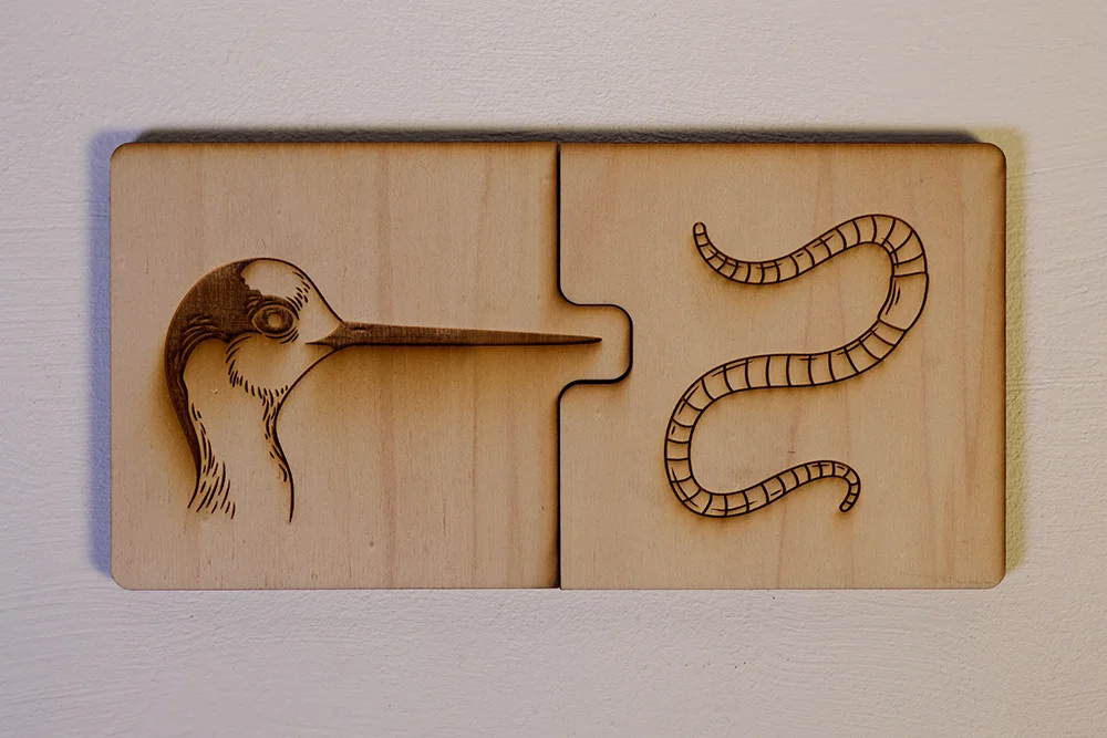 Birdlife Educational Puzzles