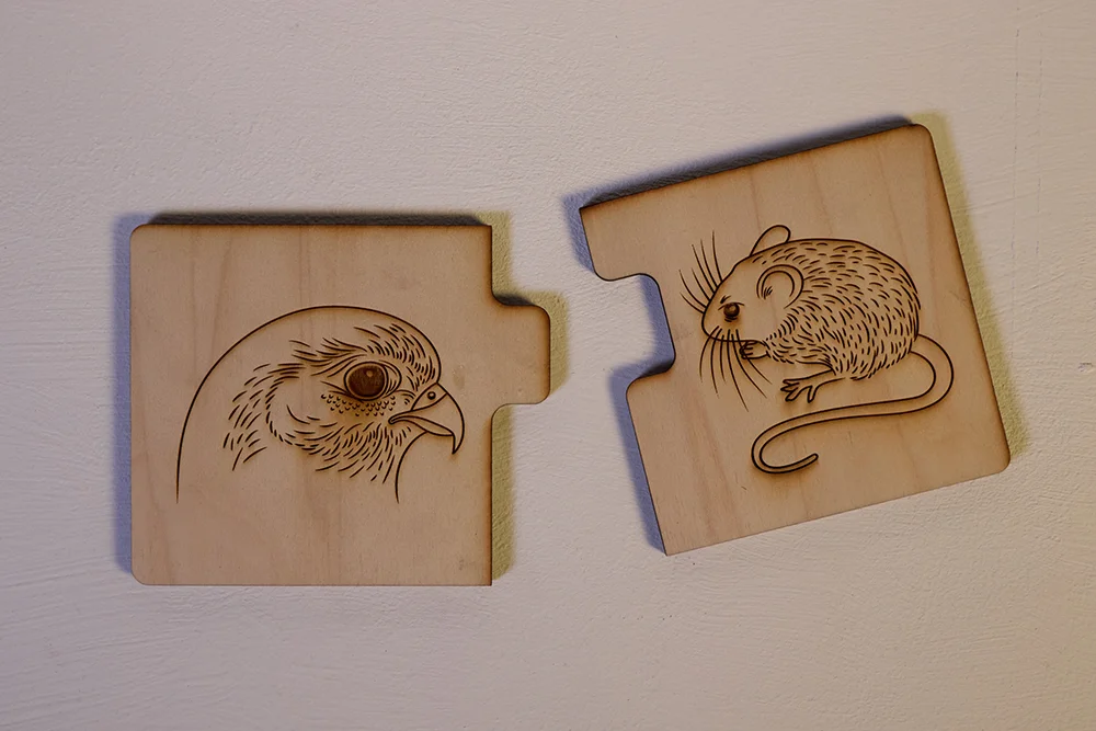 Birdlife Educational Puzzles