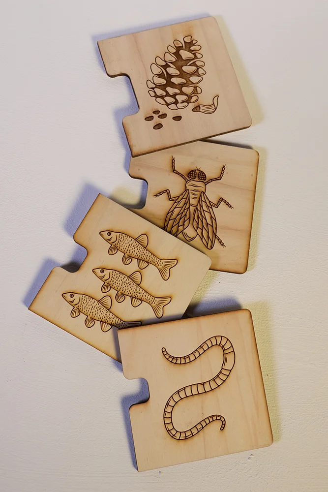 Birdlife Educational Puzzles