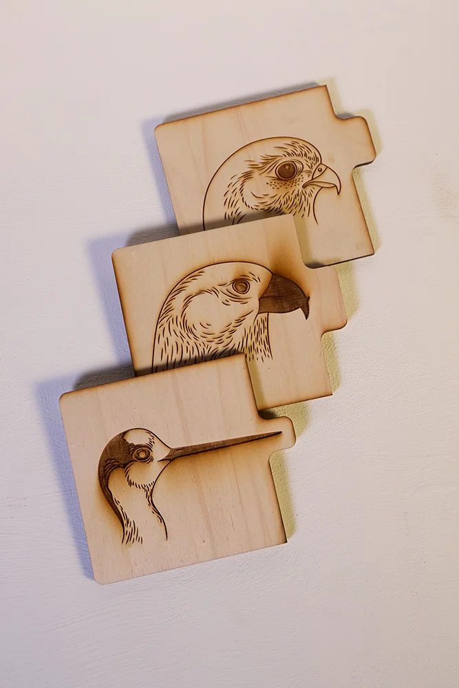 Birdlife Educational Puzzles