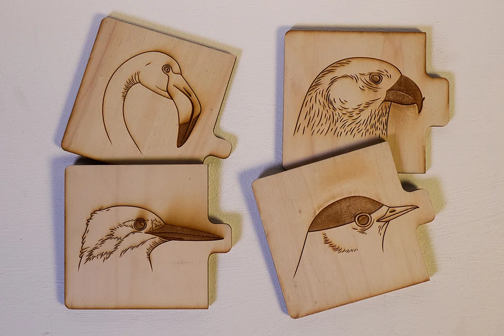 Birdlife Educational Puzzles