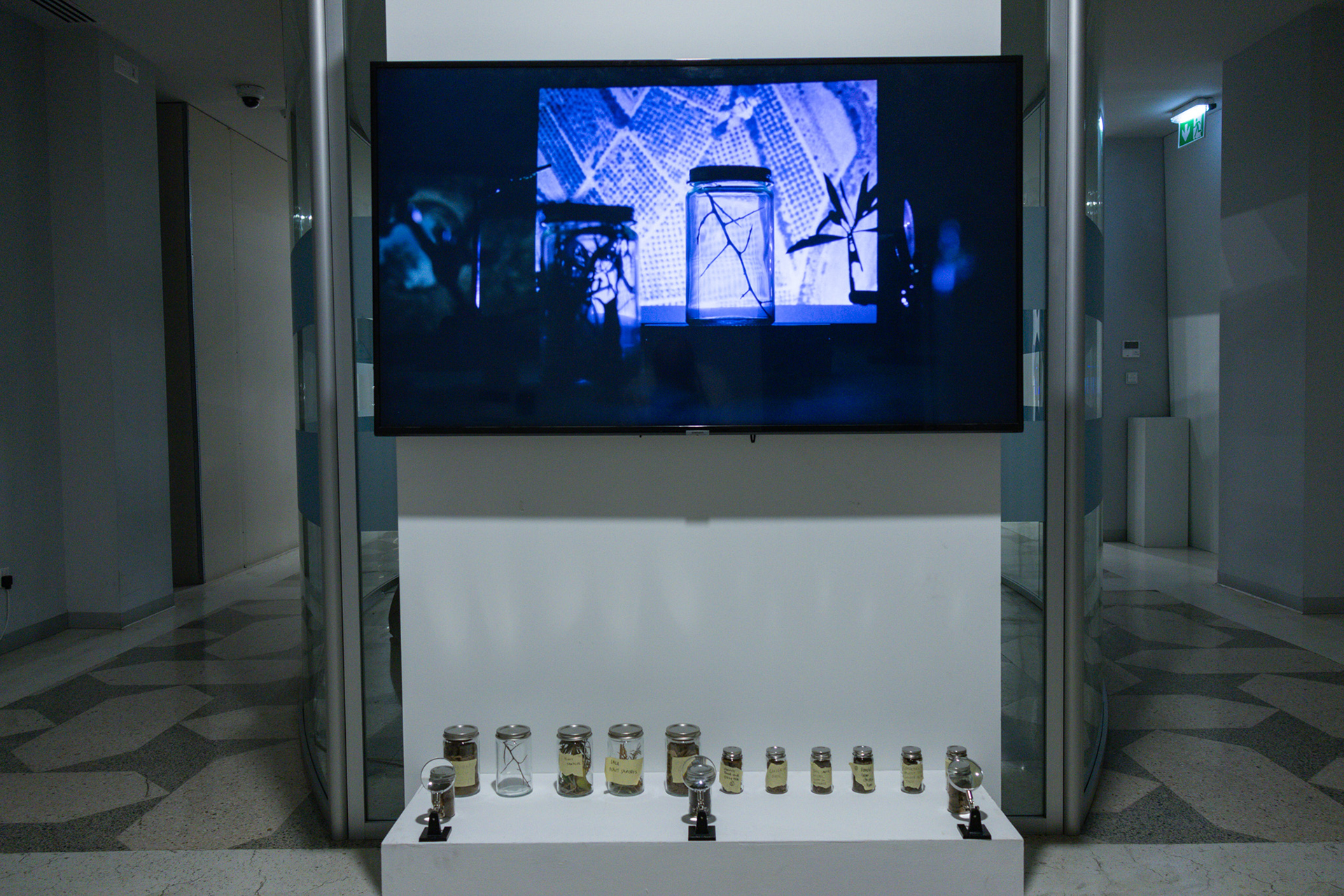 “Field Notes from Shifting Ecologies” workshop by Miguel Teodoro