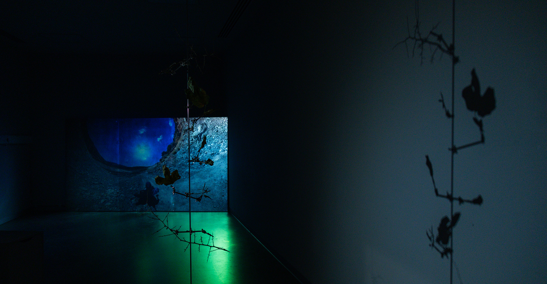 "Ground Truth" by Miguel Teodoro