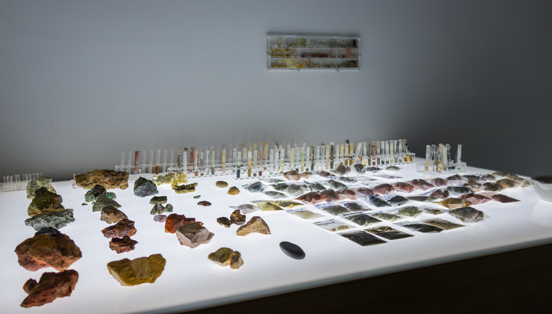 "Narratives From Invisibility and Silence" by Xin Yang