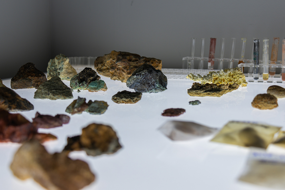 "Narratives From Invisibility and Silence" by Xin Yang