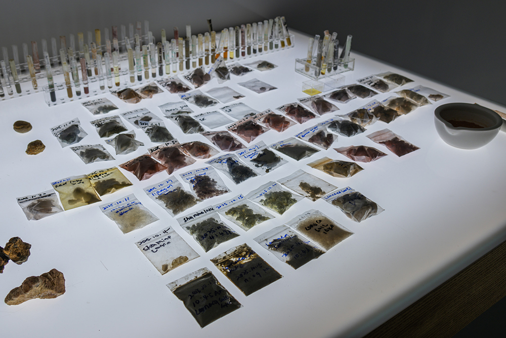 "Narratives From Invisibility and Silence" by Xin Yang