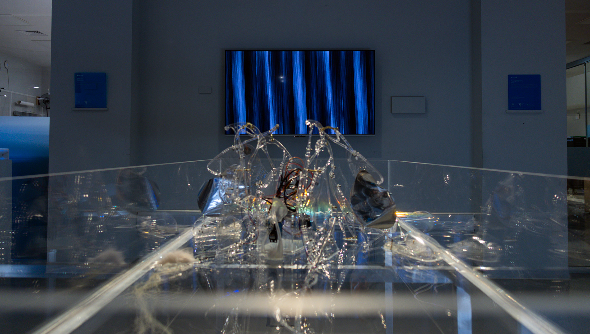 "Fluid Morph" by Dehan Son (HKASON)