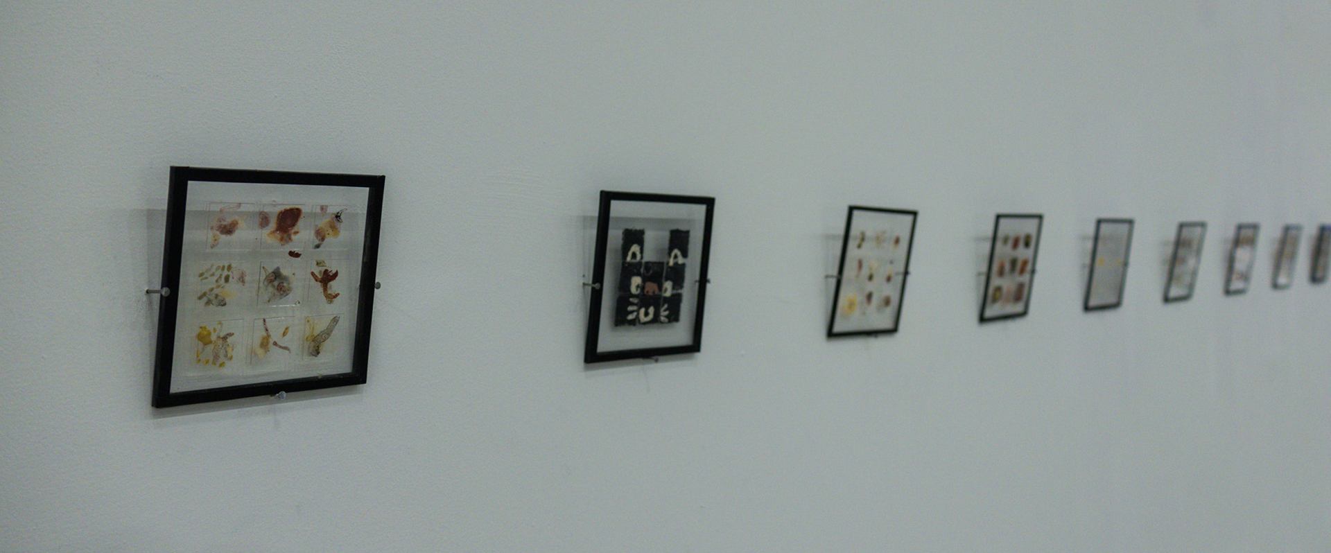 "Narratives From Invisibility and Silence" by Xin Yang