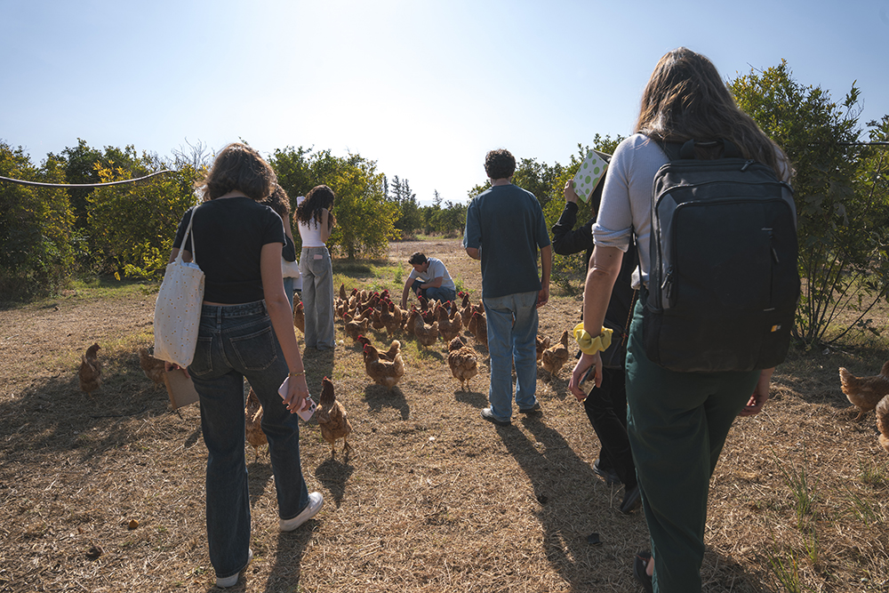“Field Notes from Shifting Ecologies” workshop by Miguel Teodoro