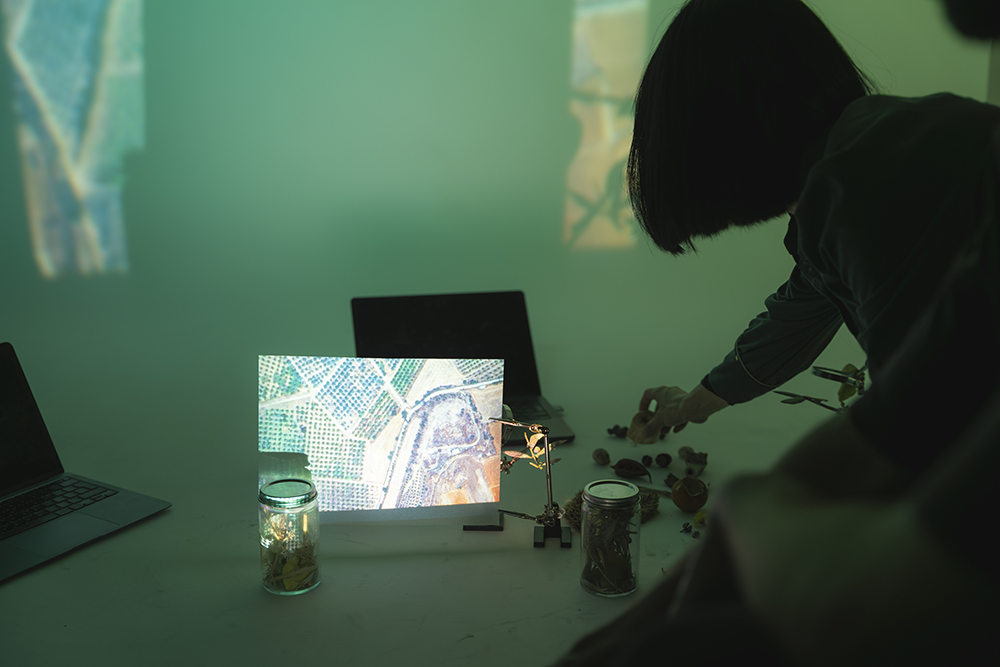 “Field Notes from Shifting Ecologies” workshop by Miguel Teodoro