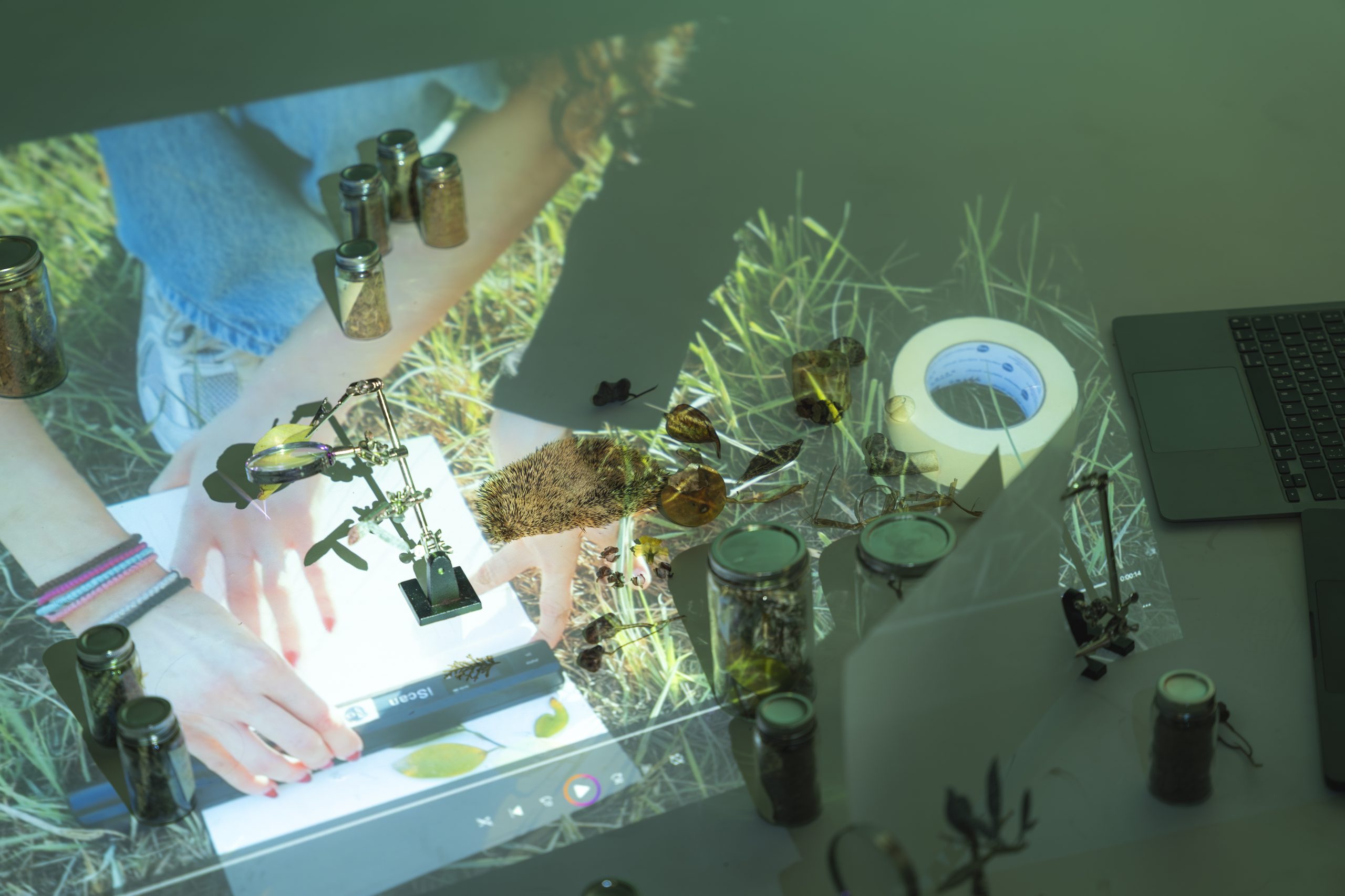 “Field Notes from Shifting Ecologies” workshop by Miguel Teodoro