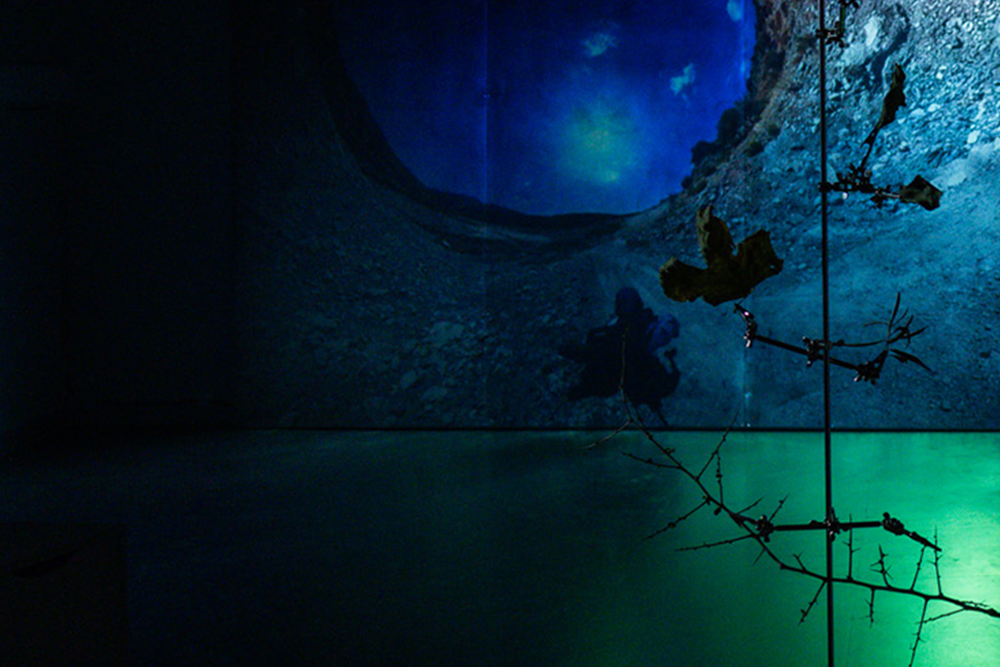 "Ground Truth" by Miguel Teodoro